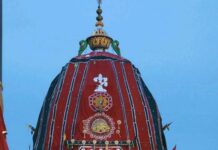 ରଥରେ ବିରାଜମାନ ହେଲେ ଚତୁର୍ଦ୍ଧାମୂର୍ତ୍ତି